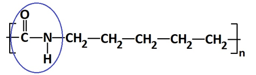 Repeating unit of Polyamide 6